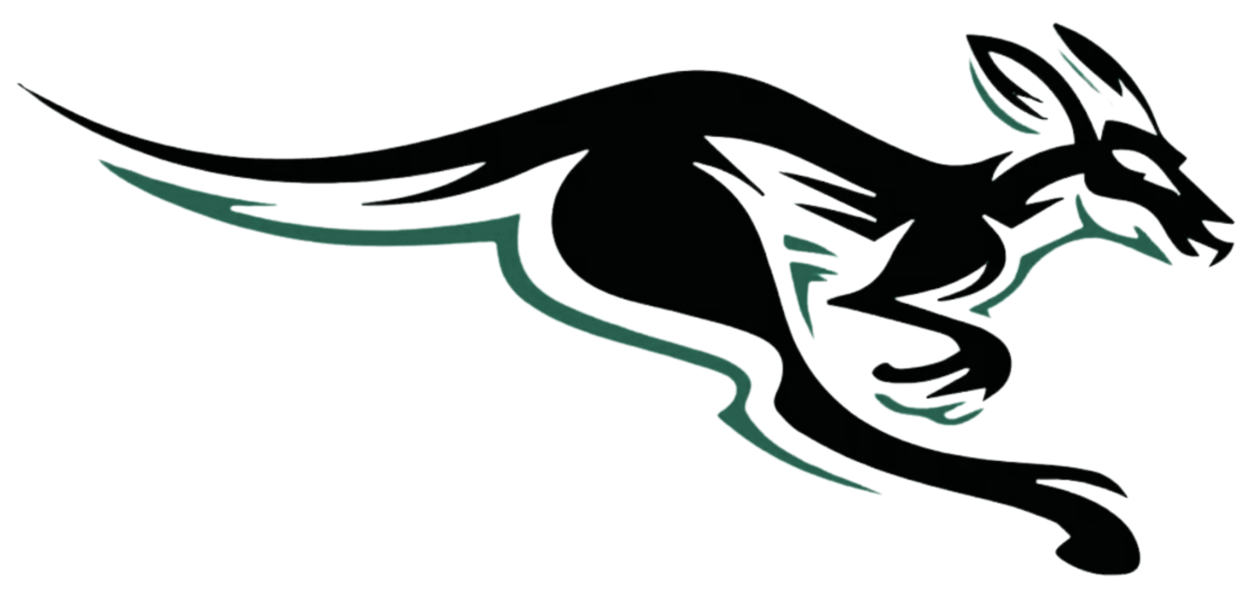 VelociRabbits
