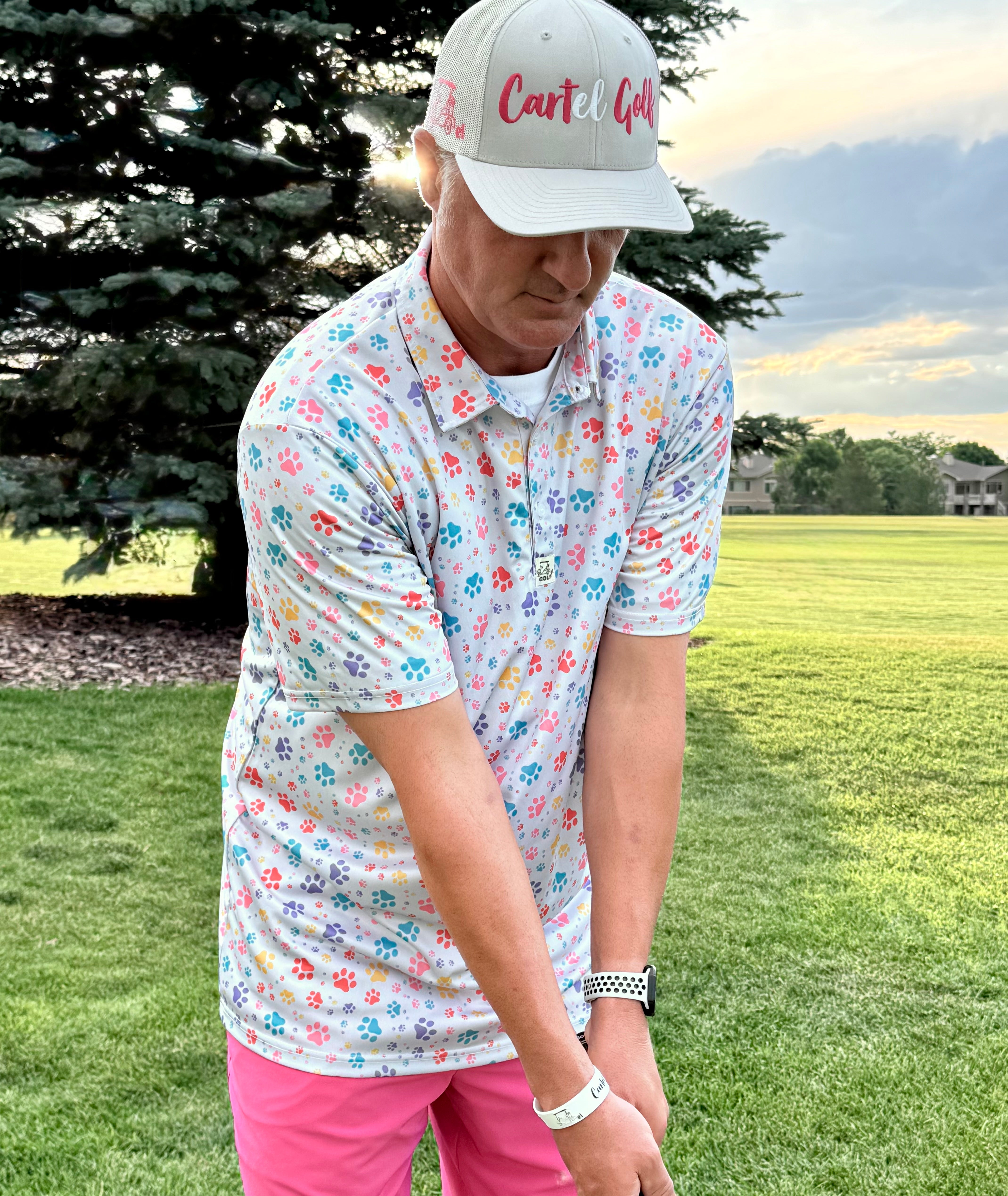 Colorful "PAWS" Silver Polo