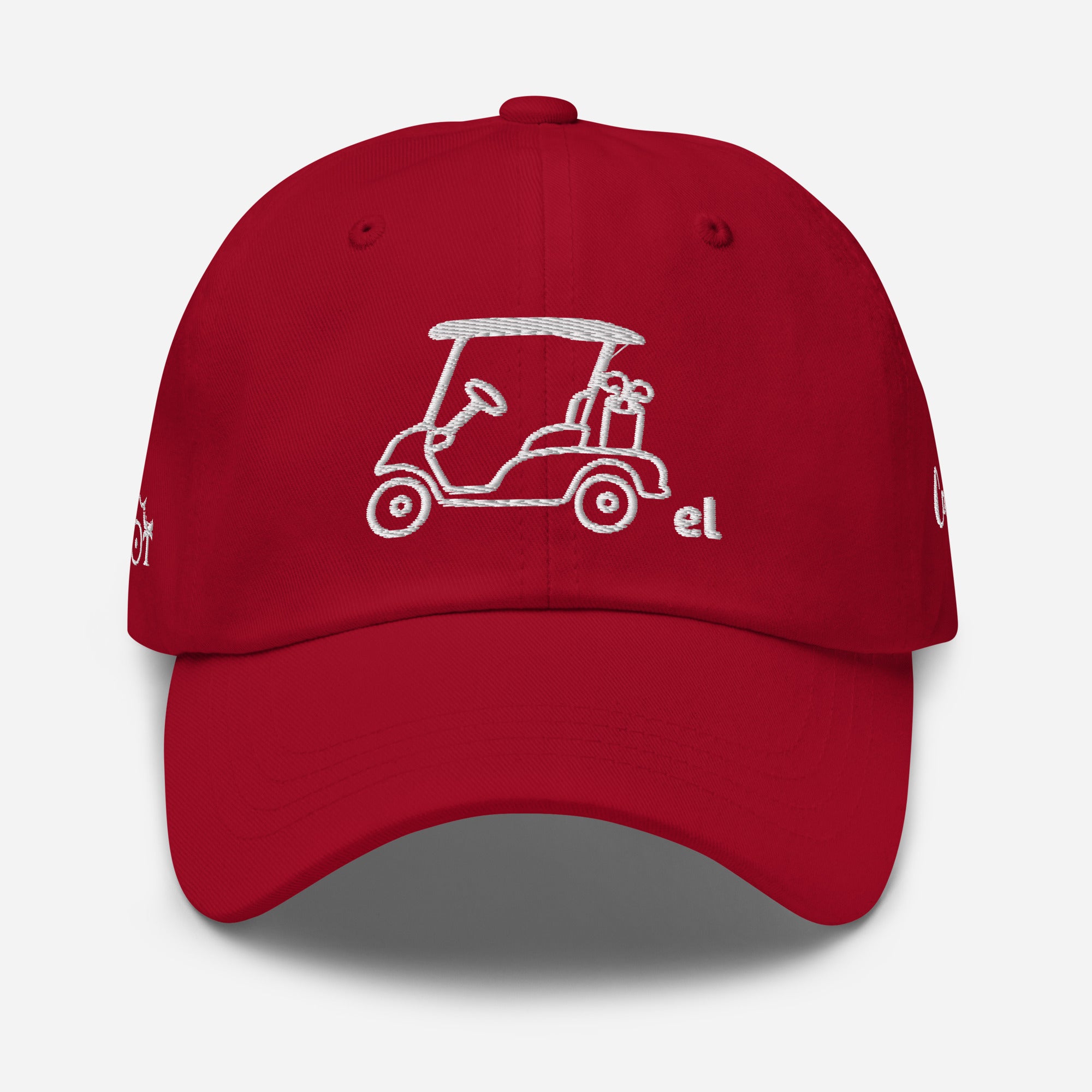 Dad hat "Hollydot"