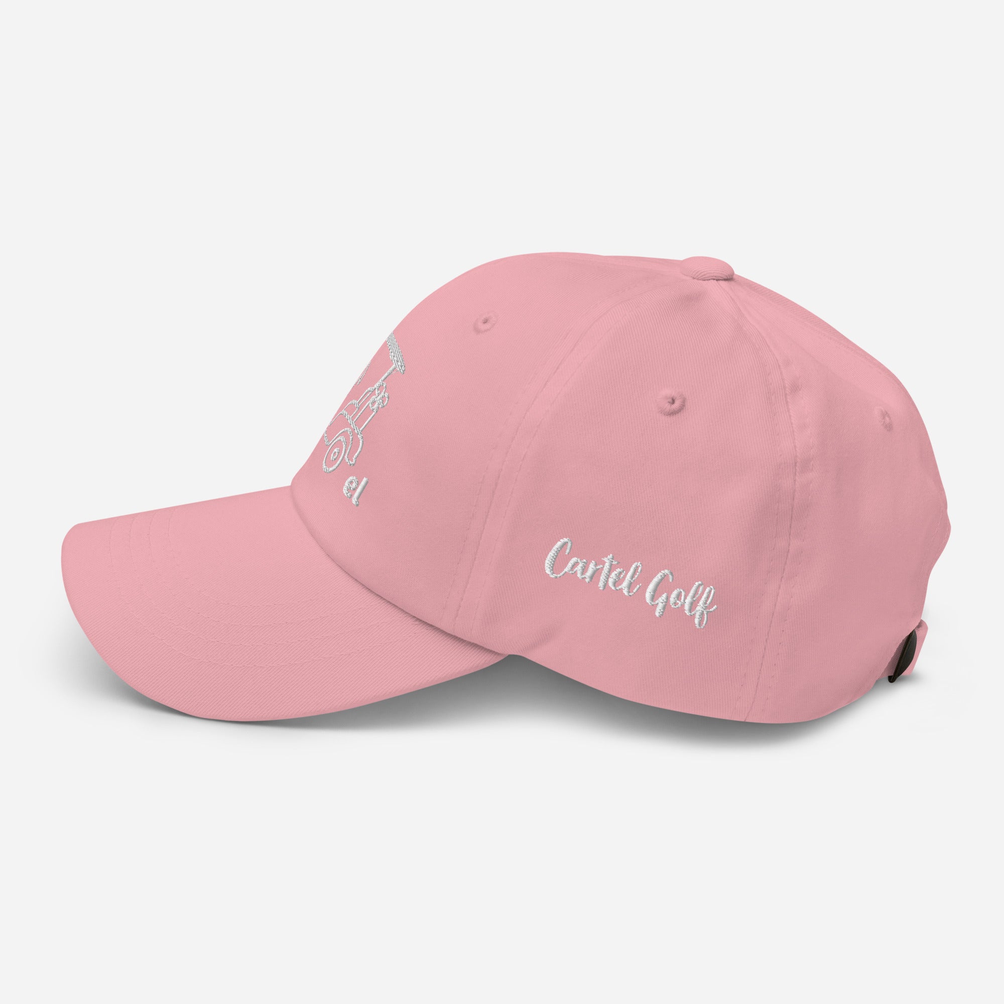 Dad hat "Hollydot"