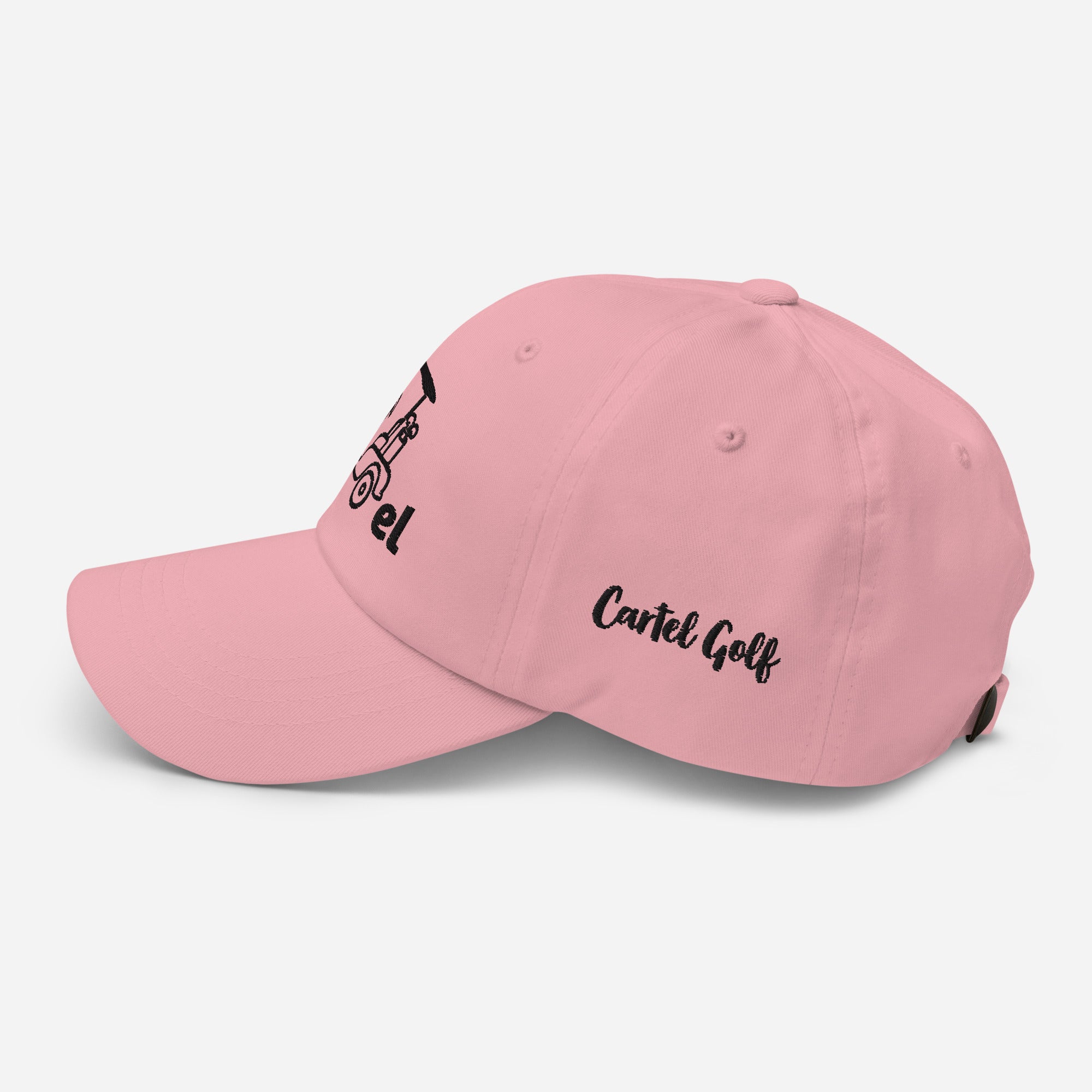 Dad hat "Hollydot"